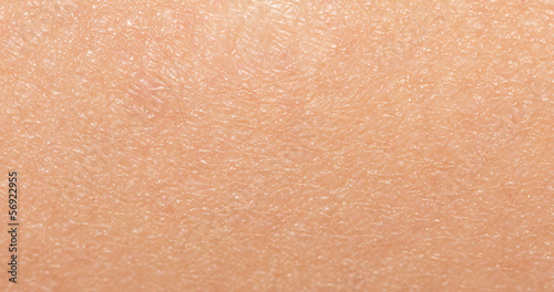 Background of the human skin. macro photo