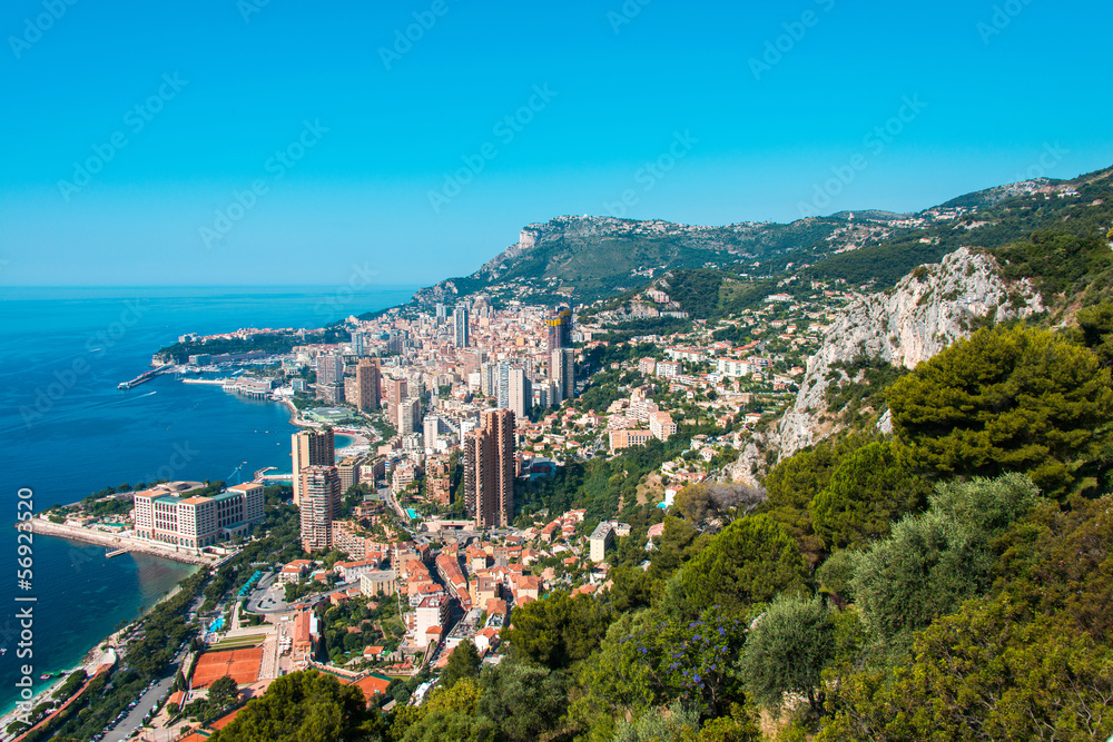 Monte Carlo view on summer day