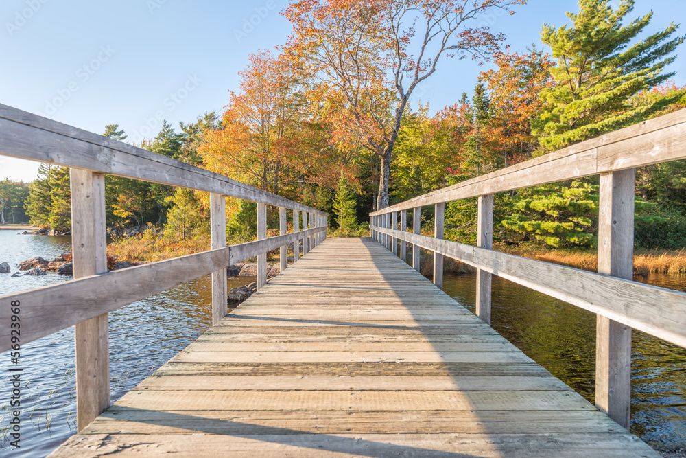 Wooden bridge in autumnal park