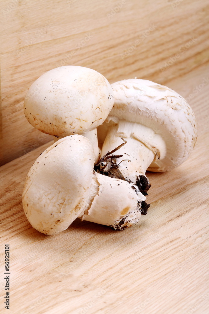 Funghi prataioli Funghi prataioli