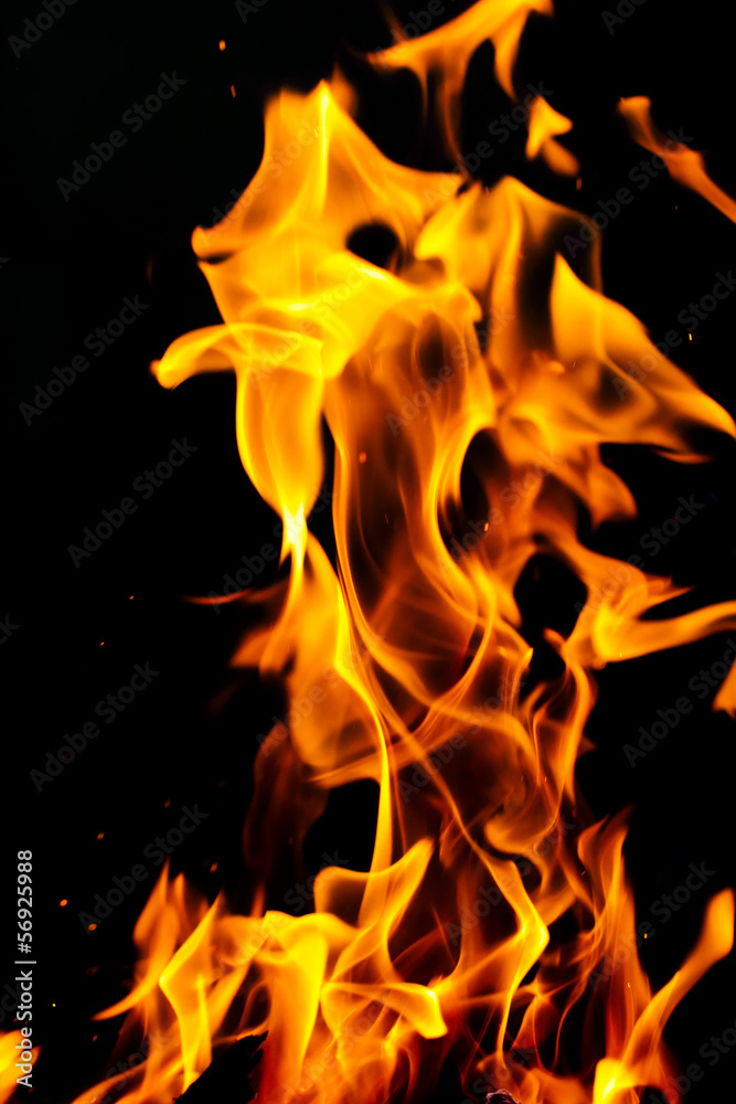 Fototapeta premium Fire flames on a black background