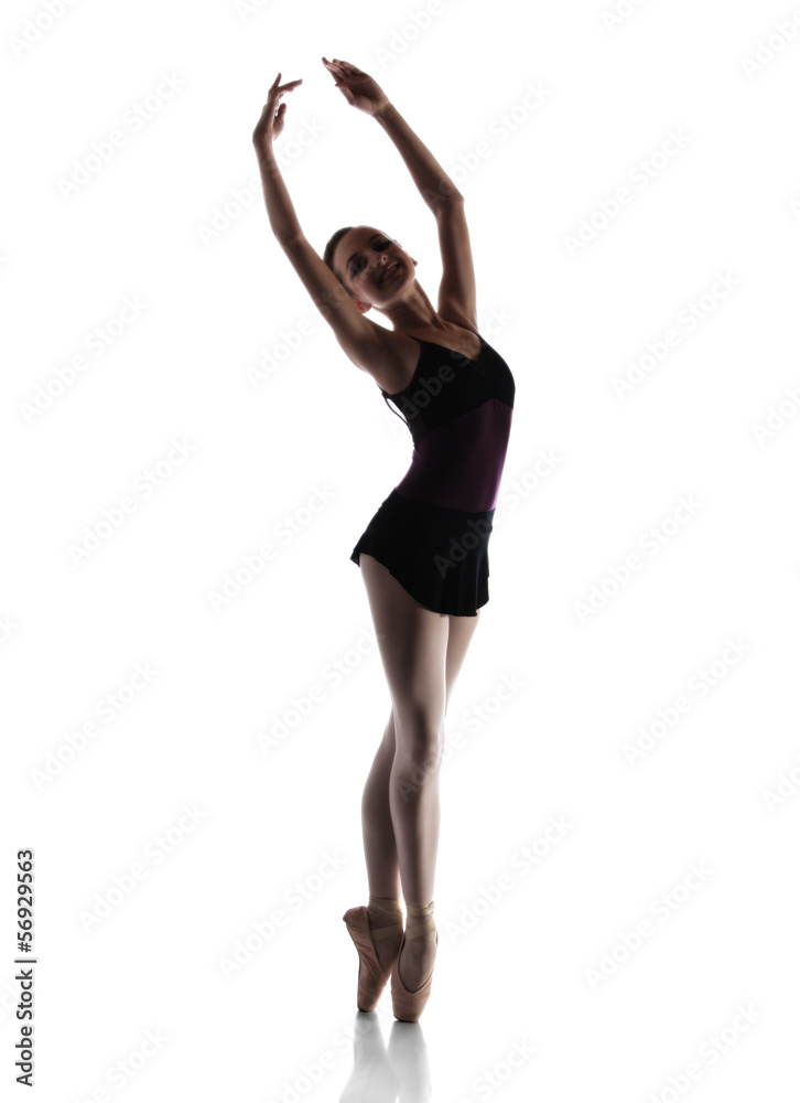 Female ballet dancer Female ballet dancer