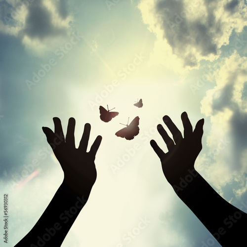 hand with butterfly in sky