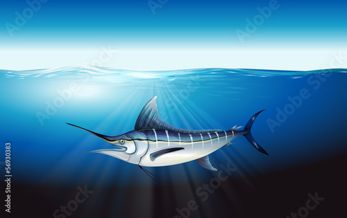 Marlin