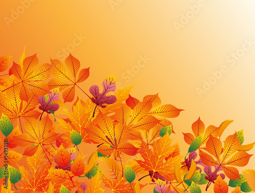 autumn background