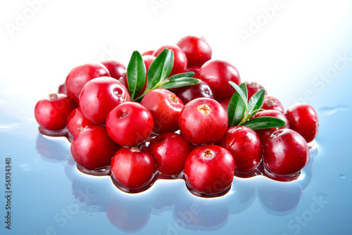 Cranberry in water isolated