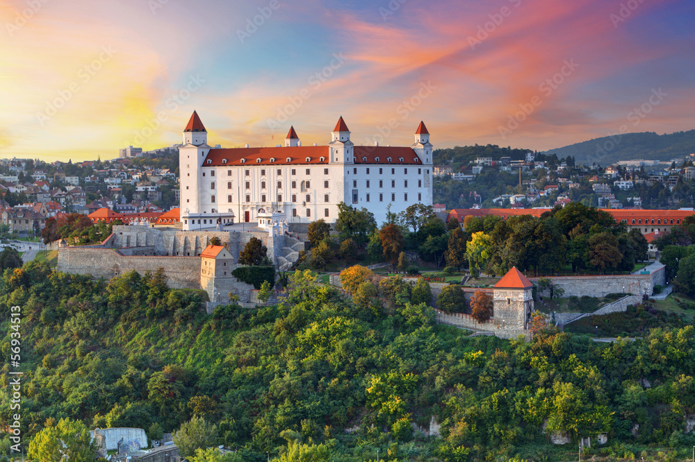 Bratislava castle, Slovakia - obrazy, fototapety, plakaty 