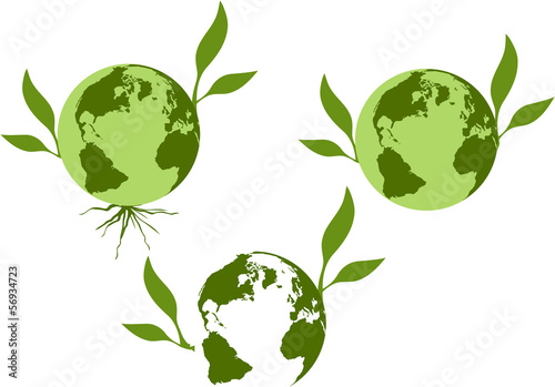 terra bio