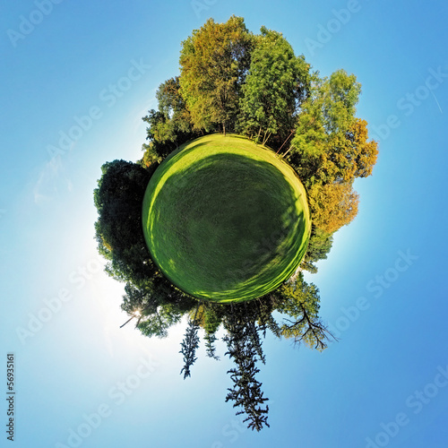 Fotografi Forest Globe - Little planet