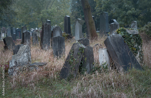 Old jewish cemetery