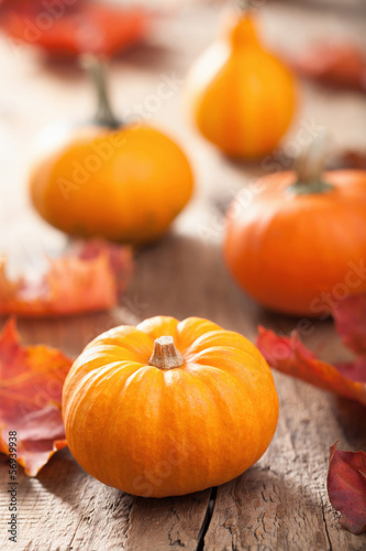 pumpkins on wooden background