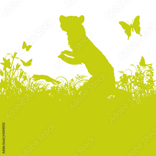 Marder auf der Wiese