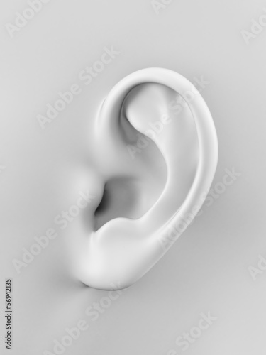 3d rendered illustration of a human ear