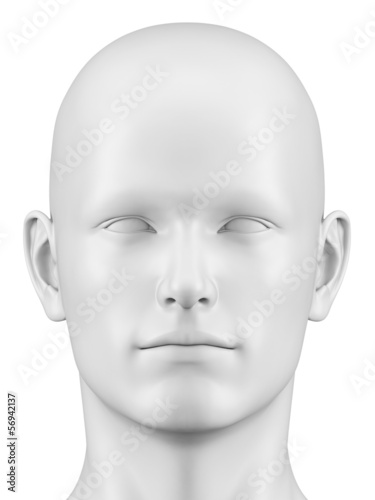 3d rendered illustration of a male head