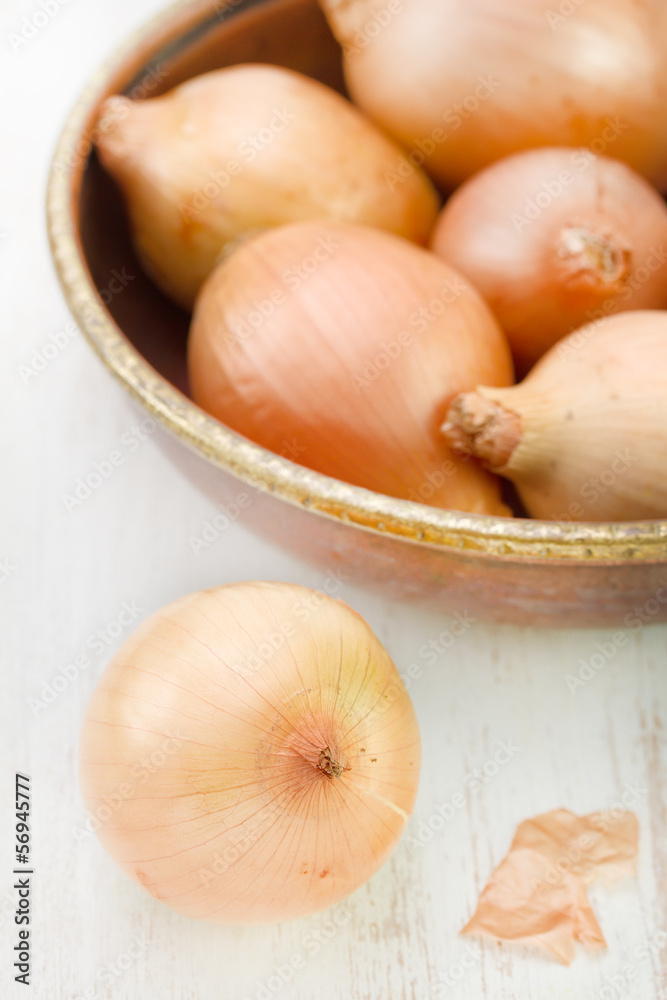 onions on white background onions on white background