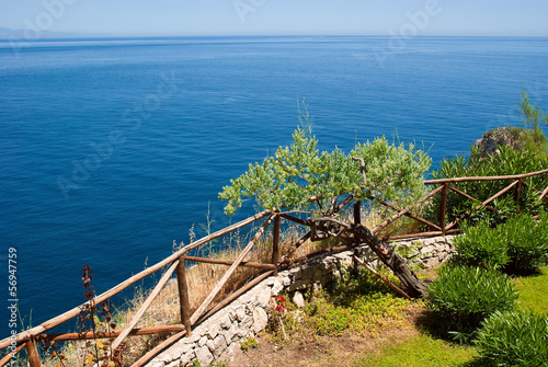 Typical mediterranean view