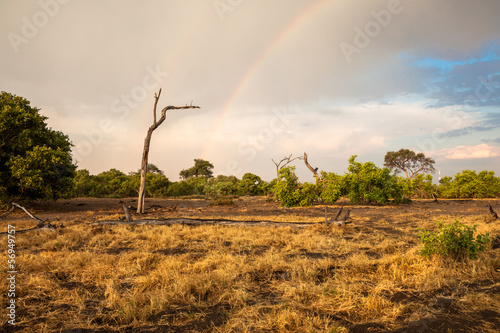 Landscape of south Africa with a rainbow, Botswana