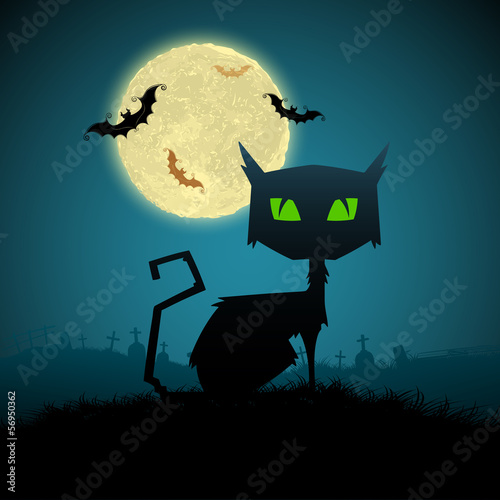 Black Cat in Halloween Night