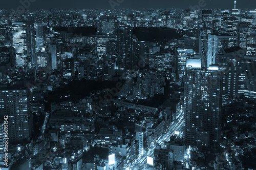 Tokyo Cityscape