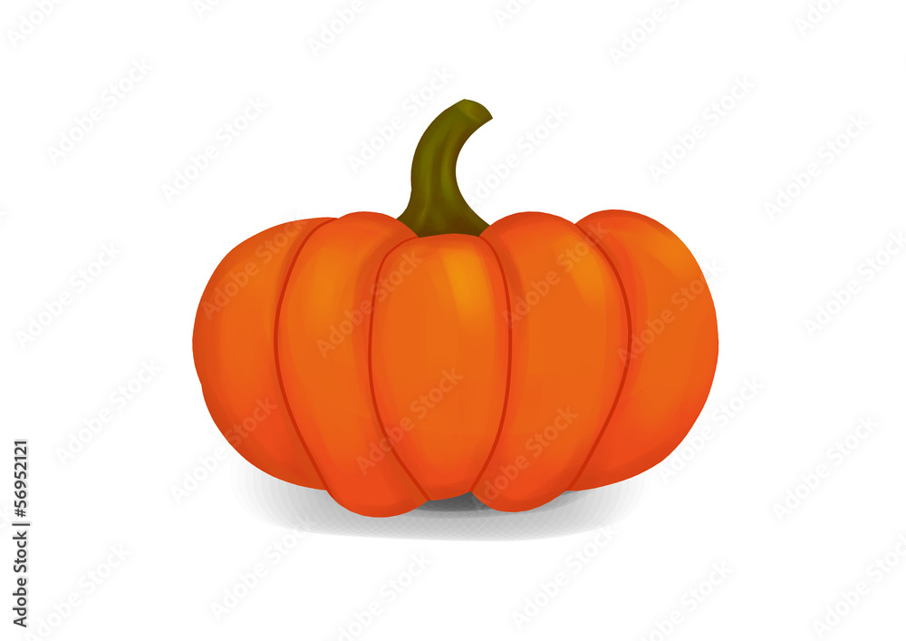 Pumpkin illustration Pumpkin illustration
