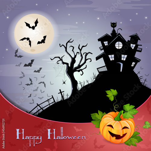 Halloween illustration with cat, bats and Halloween pumpkin. photo