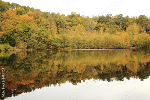 Forest reflection in small lake in early fall photo