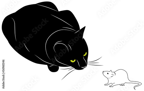 Cat and mouse