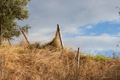 a fence posts and an italian farm field