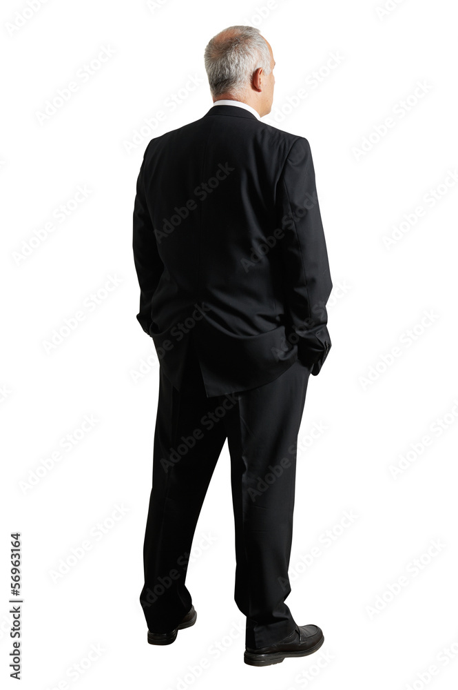 back view of mature businessman