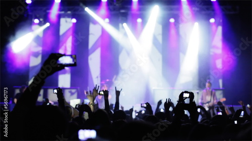 Wallpaper Mural Crowd making party at a rock concert. Torontodigital.ca