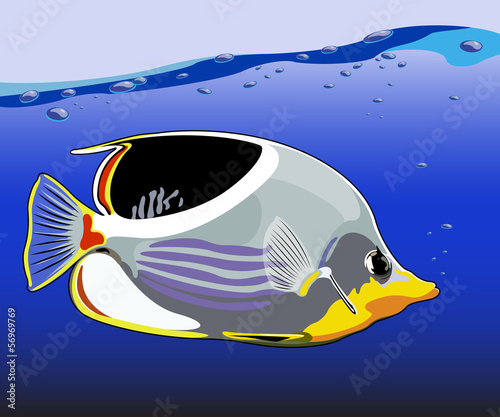 Illustration of fish, isolated on sea background