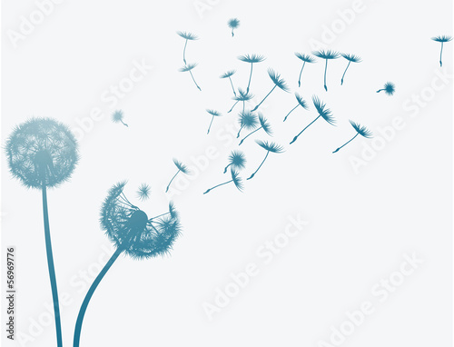 Dandelion in the wind. Vector background.