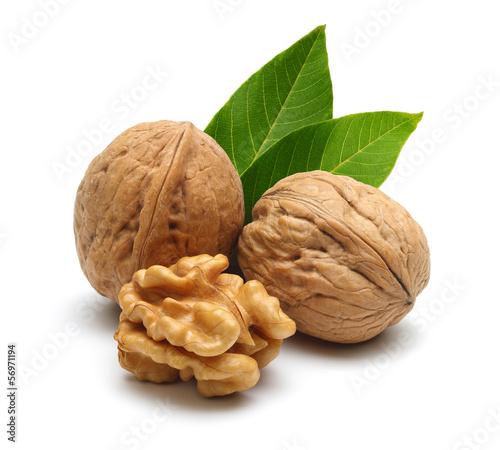 Walnut and leaves
