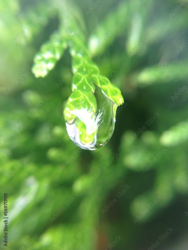 drop drop