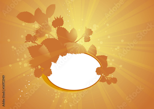 rays autumn blackberry