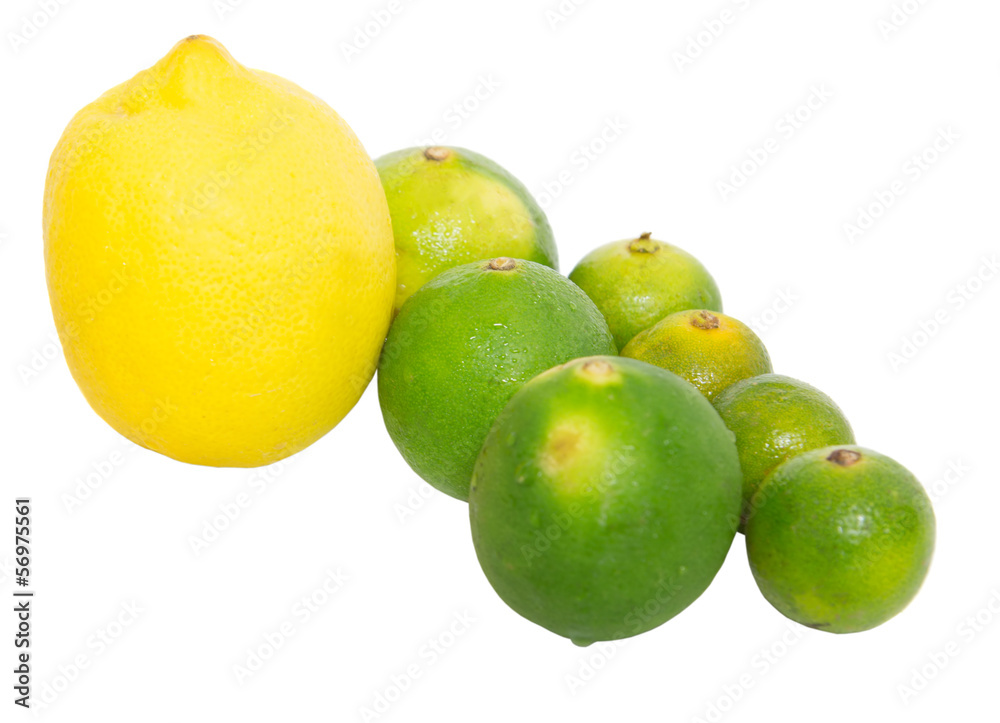 Calamansi, lime and lemon over white background Calamansi, lime and lemon over white background
