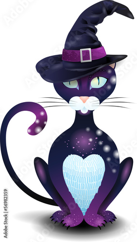 Black cat with hat