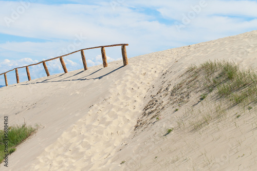 Sandy dunes  Curonian Spit   Lithuania.