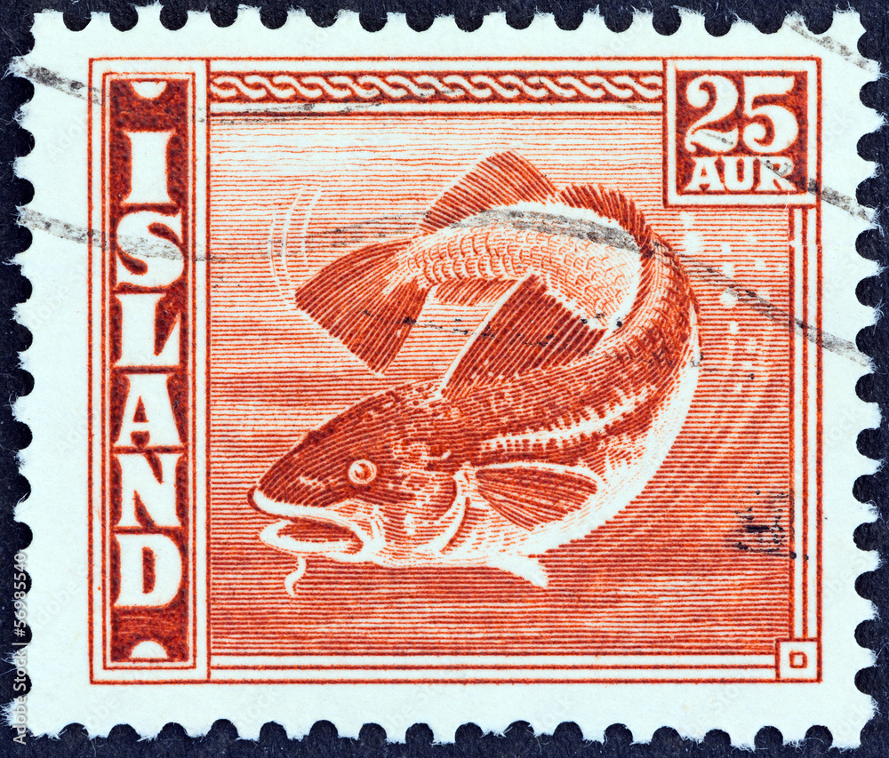 Naklejka premium Atlantic herring fish (Iceland 1939)
