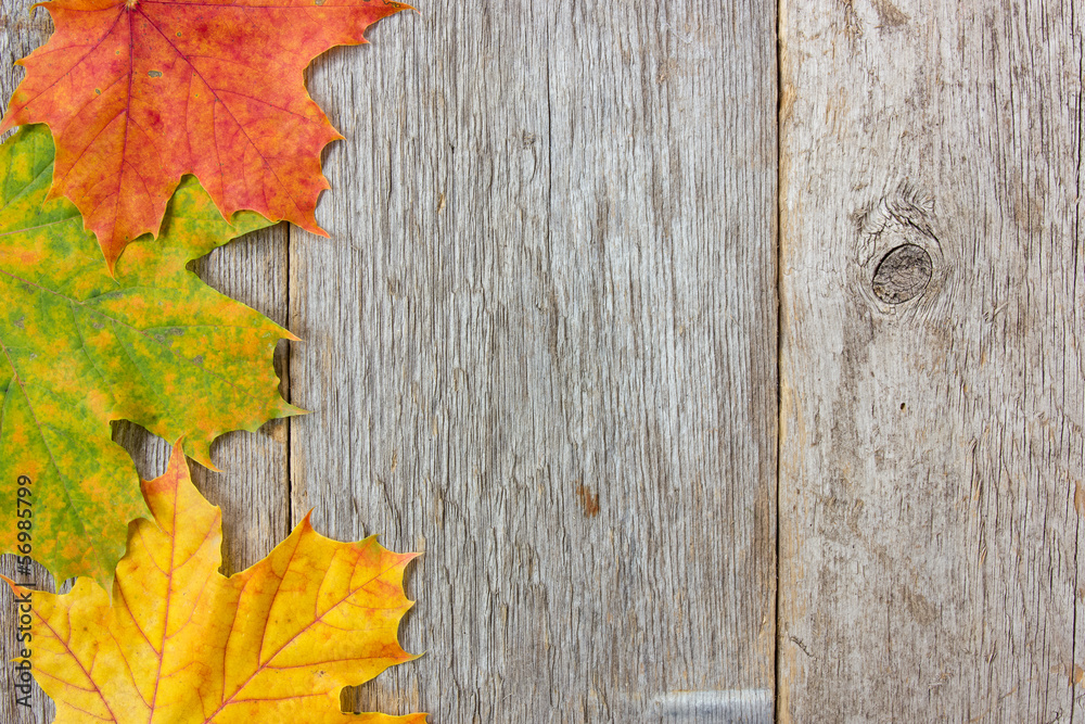 Autumn leaves and wooden planks