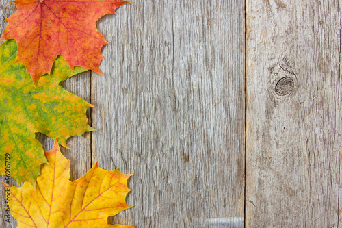 Autumn leaves and wooden planks