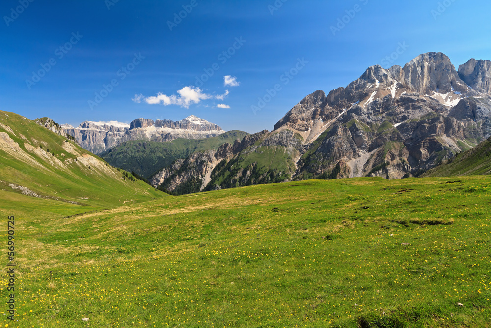 Dolomiti - pasture in Contrin valley