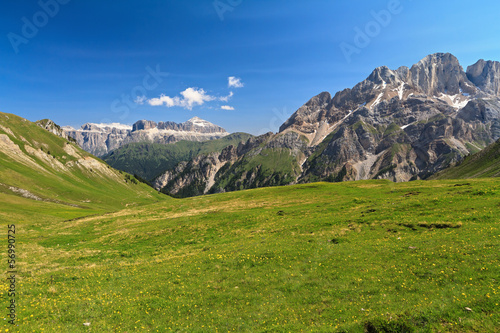 Dolomiti - pasture in Contrin valley