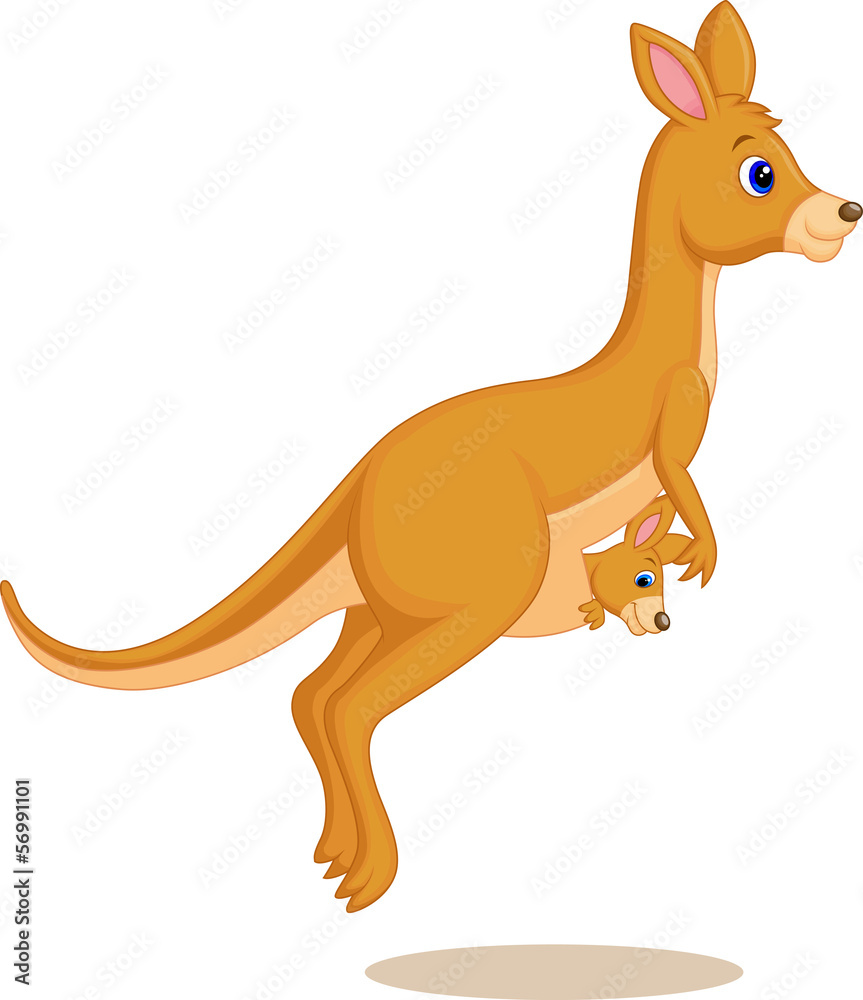 Mother and baby kangaroo