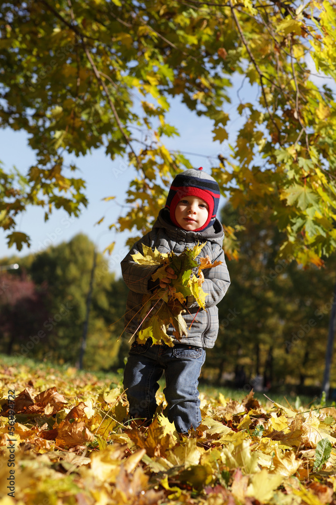 Child holding leaves