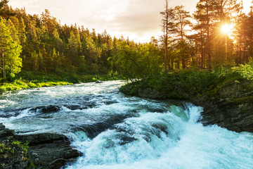 Papier peint photo Rivière Rivière norvégienne au cœur de la nature  © Galyna Andrushko