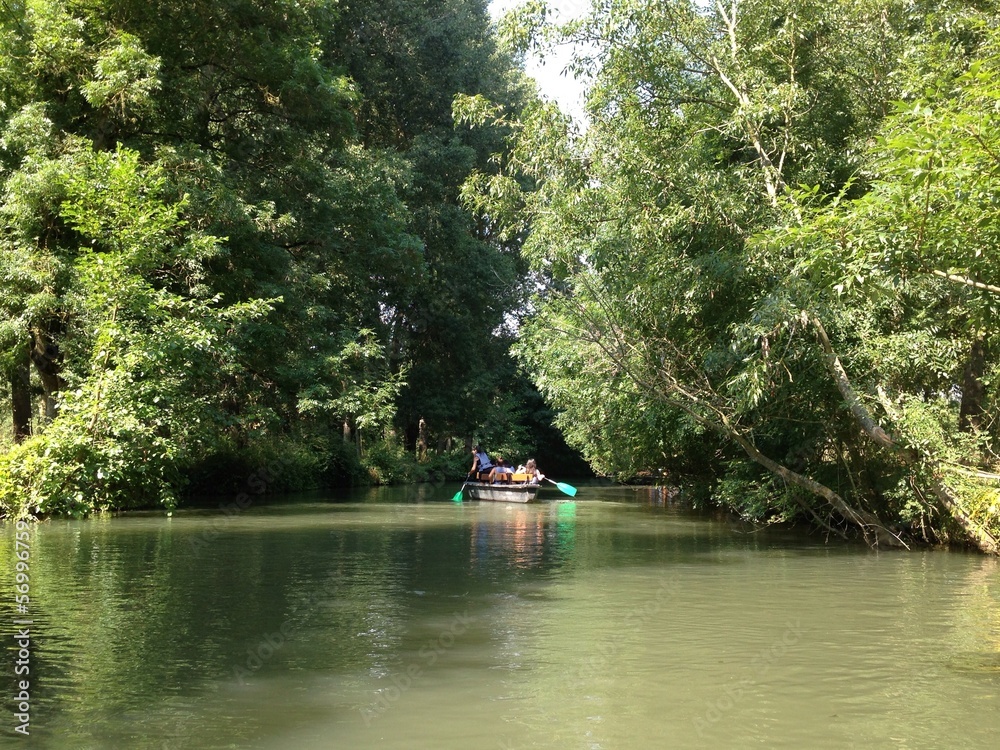 Promenade en barque dans le Marais poitevin