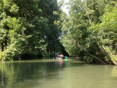 Promenade en barque dans le Marais poitevin