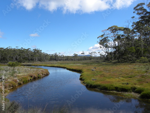 Maria Island Tasmania Australia