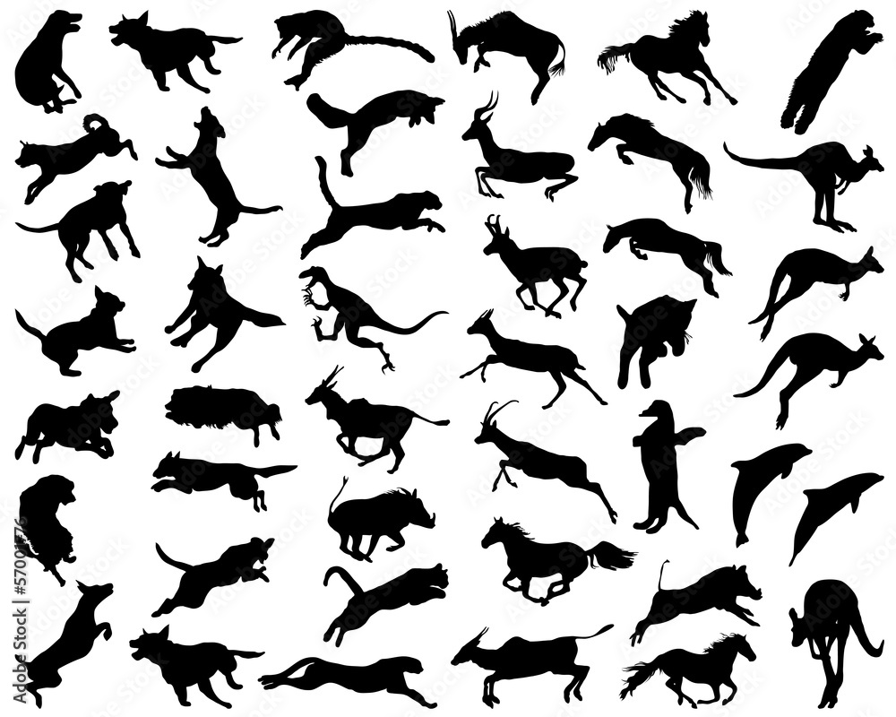 Silhouettes of animals in the high jump, vector illustration Silhouettes of animals in the high jump, vector illustration